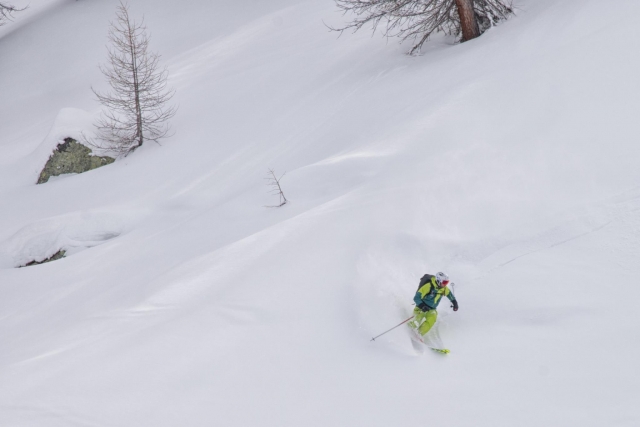  Dans la neige 